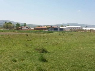 Amasya Suluova'da, Satılık çiftlik, 9 dönüm tek tapu arazi